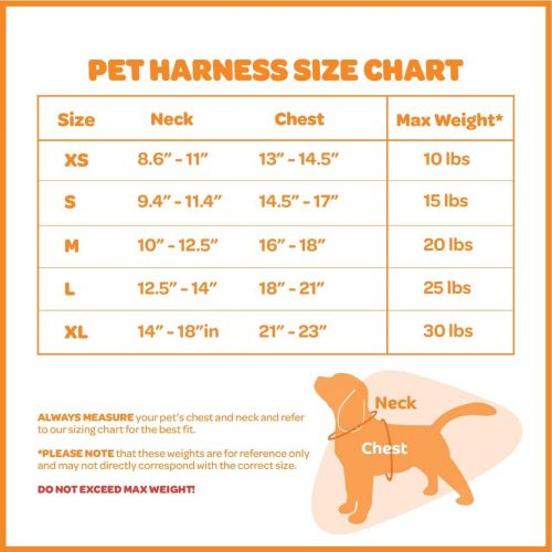  Best Pet Supplies, Inc. Voyager Step-in Plush Dog Harness - Soft Plush, Step in Vest Harness for Small and Medium Dogs by Best Pet Supplies