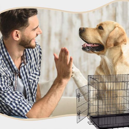  BestPet Dog Crate Double Door Folding Metal Dog Cage Plastic Tray Pet Crate Pet Cage W/Divider,24 30 36 42 48