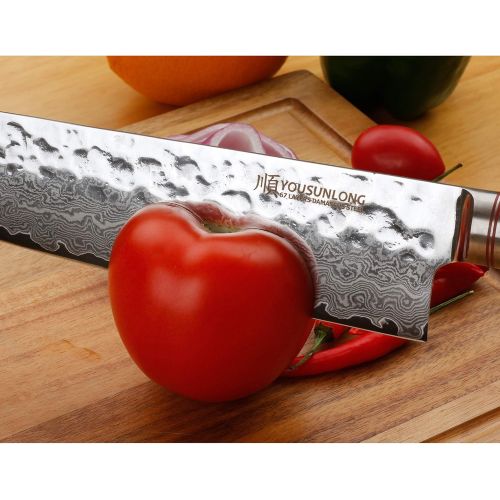  Besuchen Sie den YOUSUNLONG-Store YOUSUNLONG Kochmesser 10 Zoll Pro Gyuto Japanisch VG10 Gehammerter Damaststahl Natur Ebenholz Holzgriff mit Lederscheide