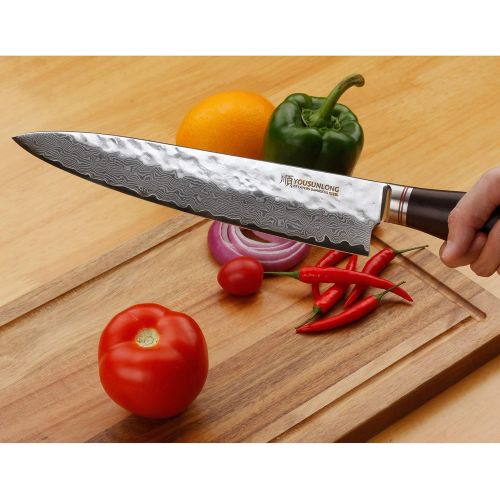  Besuchen Sie den YOUSUNLONG-Store YOUSUNLONG Kochmesser 10 Zoll Pro Gyuto Japanisch VG10 Gehammerter Damaststahl Natur Ebenholz Holzgriff mit Lederscheide