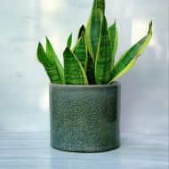 Better-way Round Cylinder Modern Ceramic Orchid Planter Succulent Plant Container Flower Pot 7 Inch (7 Inch)