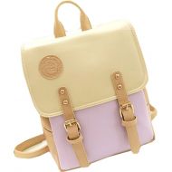 Big Mango Fashion Outdoor Bag SchoolBag Laptop Backpack Soft Satchel Handbag for Female (Purple)