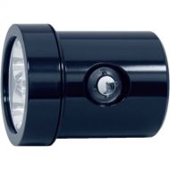Bigblue Light Head for TL2900P Dive Light (Black)