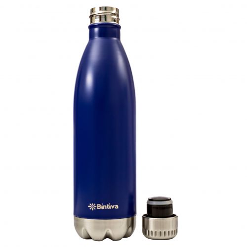  Bintiva Double Walled Vacuum Insulated 17-ounce Stainless Steel Water Bottle