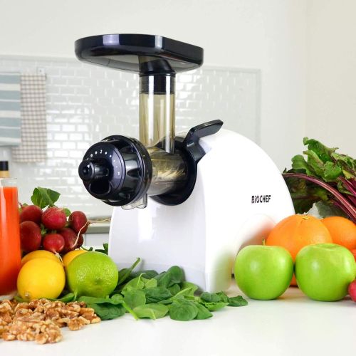  [아마존베스트]BioChef Gemini Twin Gear Slow Masticating Juicer - Cold Press Juicer Extractor for Fruit and Vegetables | BPA Free | Quiet and Easy to Clean (White)