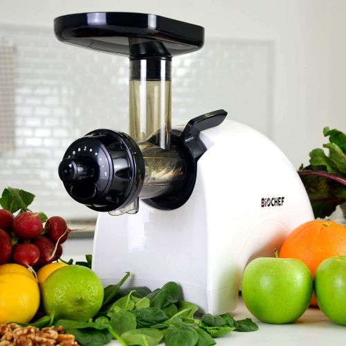  [아마존베스트]BioChef Gemini Twin Gear Slow Masticating Juicer - Cold Press Juicer Extractor for Fruit and Vegetables | BPA Free | Quiet and Easy to Clean (White)