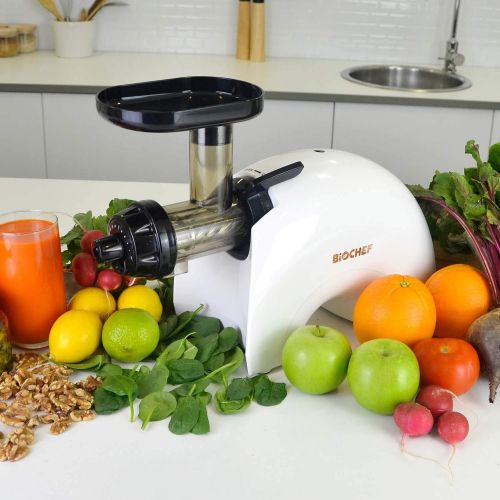  [아마존베스트]BioChef Gemini Twin Gear Slow Masticating Juicer - Cold Press Juicer Extractor for Fruit and Vegetables | BPA Free | Quiet and Easy to Clean (White)