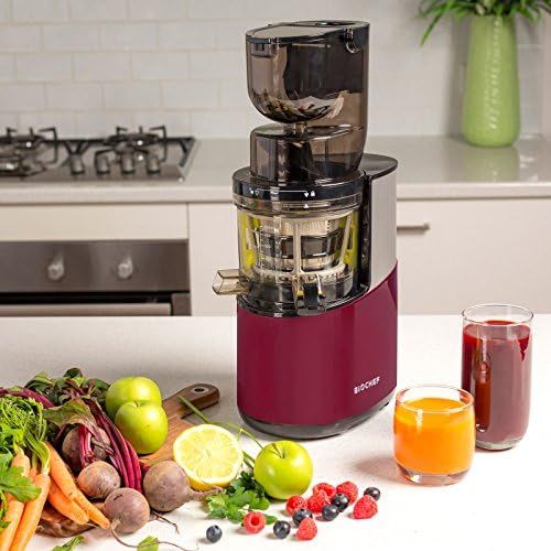  [아마존베스트]BioChef Atlas Whole Mixer Cold Pressed Slow Juicer ProSqueegee for Juice, 350W, 40RPM Motor. Lifetime Guarantee.