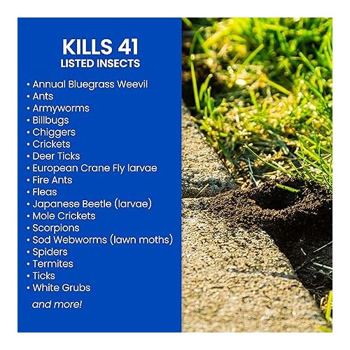  BioAdvanced Complete Brand Insect Killer for Soil and Turf, Granules, 10 lb