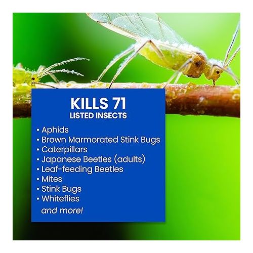  BioAdvanced Complete Brand Insect Killer for Soil and Turf I, Ready-to-Spray, 32 oz