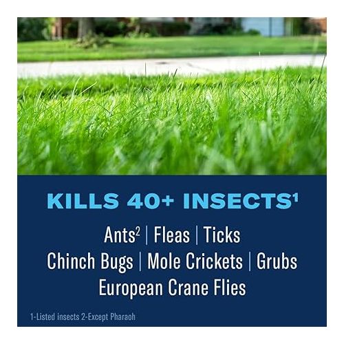  BioAdvanced Complete Brand Insect Killer for Lawns, Granules, 10 LB