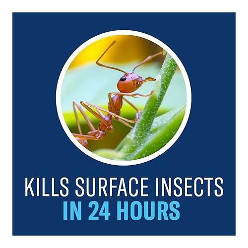  BioAdvanced Complete Insect Killer for Soil and Turf, Ready-to-Spray, 32 oz (Pack of 2)