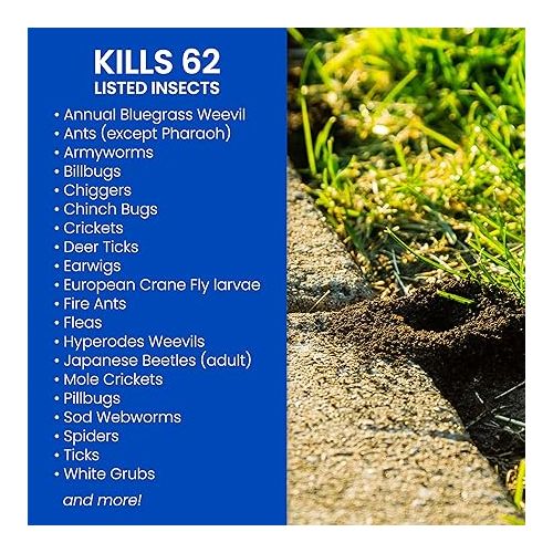  BioAdvanced Complete Insect Killer for Soil and Turf, Ready-to-Spray, 32 oz (Pack of 2)