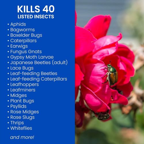  BioAdvanced 502570 Dual Action Rose and Flower Insect Killer Ready-To-Use, 24-Ounce (502570B)