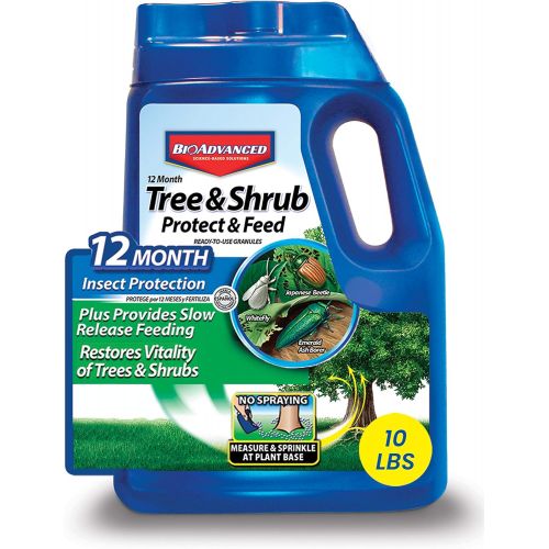  BioAdvanced 701910A 12-Month Shrub Protect & Feed Insect Killer and Tree Food, 10-Pound, Granules