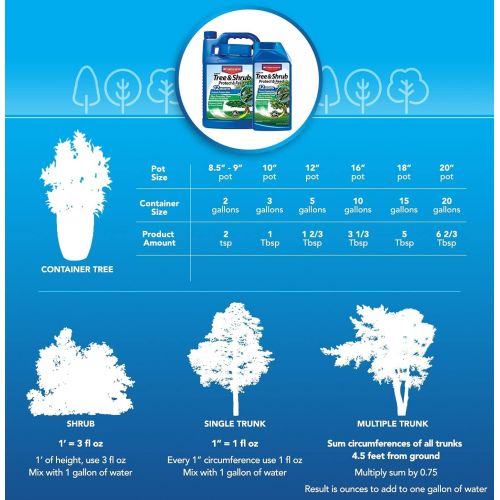  BioAdvanced 701901 12-Month Shrub Protect & Feed Insect Killer and Tree Food, 32-Ounce, Concentrate