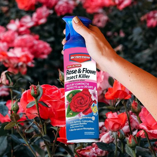  BioAdvanced 701330A Dual Action Rose & Flower Insect Killer Insecticide, 15.7-Ounce, Continuous Spray