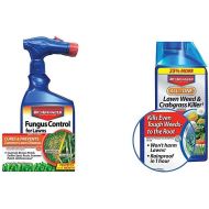 BioAdvanced 701270A Effective Fungicide with Disease Prevention Fungus Control for Lawns, 32-Ounce & 704140 All-in-One Lawn Weed and Crabgrass Killer Garden Herbicide, 32-Ounce