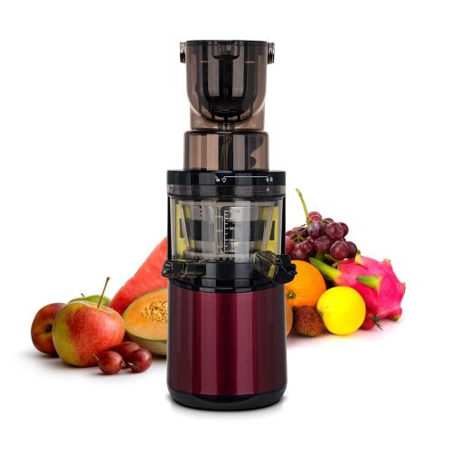  BioChef Altas Entsafter Whole Slow Juicer Pro - Ultra Leistungsstarker Motor, Einfach Gemuese & Fruechte Entsaften mit XXL Einfuellschacht, Spuelmaschinen Geeignete Einzelteile in Wein