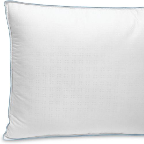  BioPEDIC Gel Fusion Cooling Hypoallergenic Pillow, 2 Pack, Jumbo