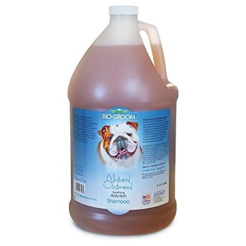  Bio-groom Bio-Groom Natural Oatmeal Anti-Itch Dog and Cat Shampoo, 1-Gallon