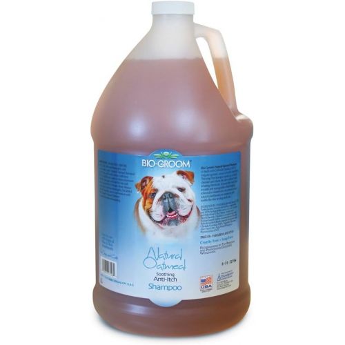  Bio-groom Bio-Groom Natural Oatmeal Anti-Itch Dog and Cat Shampoo, 1-Gallon