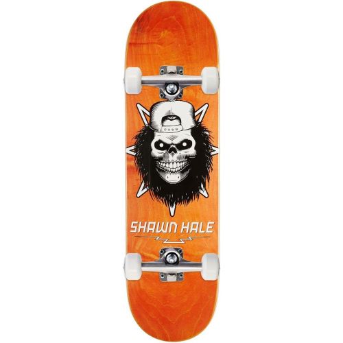  Birdhouse Hale Skull Skateboard Complete - 8.63