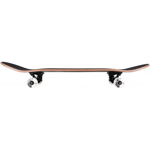  Birdhouse Stage 3 Hawk Pterodactyl Complete Skateboard - Black 7.5