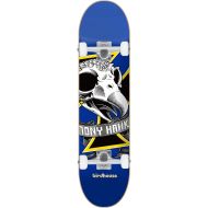 Birdhouse Skateboard Complete Tony Hawk Oversized Skull Mini 7.25