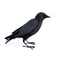 BirdlandGifts 1/2 scale Felted American Crow naturalistic doll