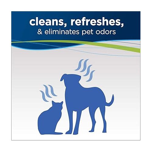  BISSELL PET PRO OXY Stain Destroyer for Carpet and Upholstery, 22 oz, 2 Pack, 17739, 22 Fl Oz (Pack of 2), 44