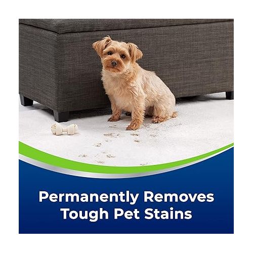  BISSELL Woolite® Advantage Pet Stain & Odor Remover + Sanitize, 3327