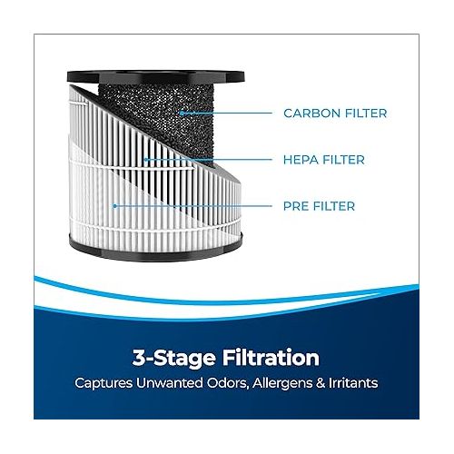  BISSELL® MYair™ Pro Replacement HEPA and Carbon Filter, 3069