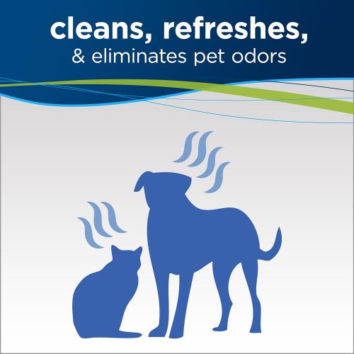  BISSELL PET PRO OXY Stain Destroyer for Carpet and Upholstery, 22 oz, 2 Pack, 17739, 44 Fl Oz