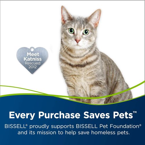  [무료배송] Bissell Professional 애완 동물 소변 제거기 + 옥시 카펫 청소 공식, 48 oz,
