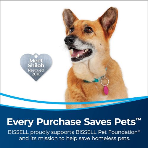  [아마존베스트]BISSELL PowerGlide Pet Slim Corded Vacuum, 3070