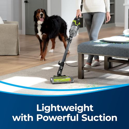  [아마존베스트]BISSELL PowerGlide Pet Slim Corded Vacuum, 3070