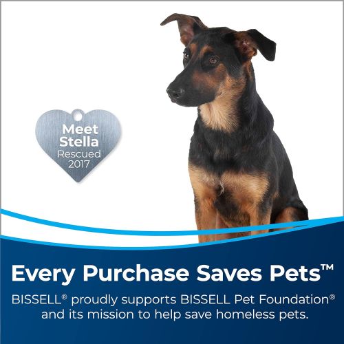  BISSELL TurboClean DualPro Pet Carpet Cleaner