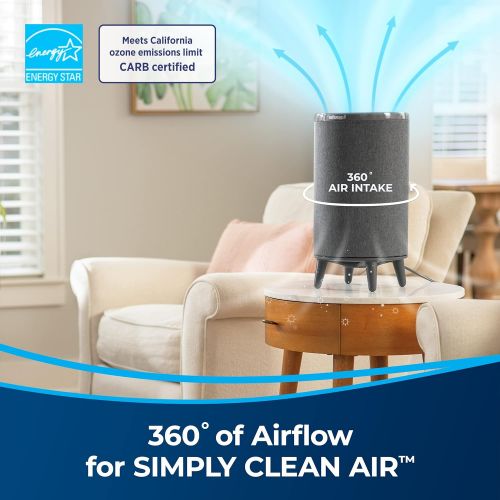  BISSELL MYair+ Air Purifier with HEPA Filter for Small Room and Home, Quiet Air Cleaner for Allergens, Pets, Dust, Dander, Pollen, Smoke, Hair, Odors, 3179A