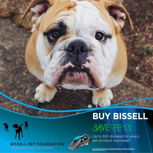  BISSELL Pet Stain Eraser Deluxe ION Portable Carpet Cleaner with Extended Runtime and Window Attachment, Teal
