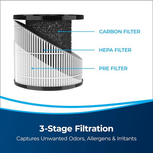  BISSELL MYair Pro Replacement HEPA and Carbon Filter, 3069