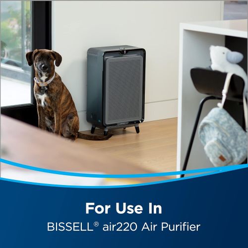  Genuine BISSELL air220 Air Purifier Replacement Pet Pro Filter Pack, 3289