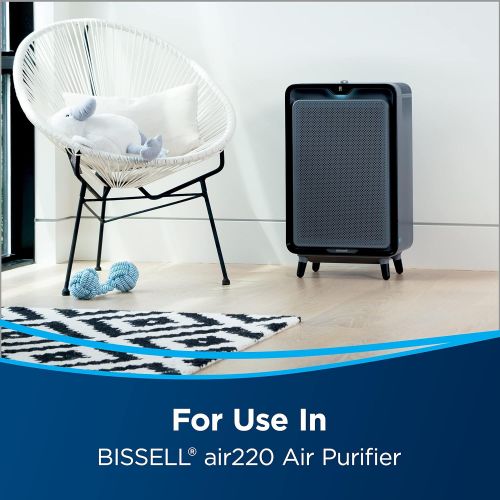  Genuine BISSELL air220 Air Purifier Replacement HEPA + Pre-Filter and Activated Carbon Filter Pack, 3315 , Black