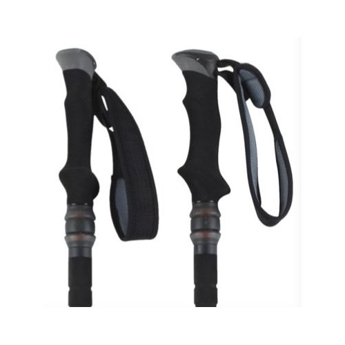  Black Diamond Trail Shock Trekking Pole - Pair