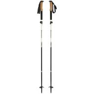 Black Diamond Alpine FLZ Trekking Poles Pearl Black 120-140