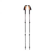 Black Diamond Equipment - Trail Ergo Cork Trekking Poles - Granite