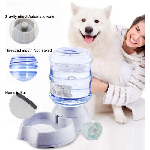  Blessed family Cat Water Fountain,Automatic Cat Feeder,Dog Water Dispenser,1 Gal Pet Automatic Feeder Waterer