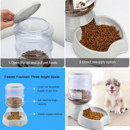  Blessed family Cat Water Fountain,Automatic Cat Feeder,Dog Water Dispenser,1 Gal Pet Automatic Feeder Waterer