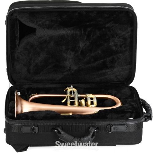  Blessing BFH-1541RT Performance Series Intermediate Bb Flugelhorn - Clear Lacquer