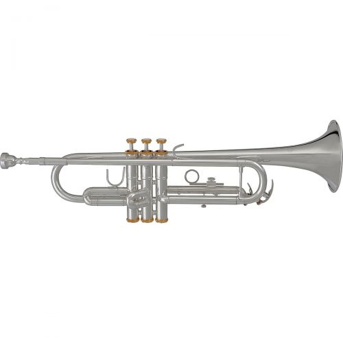  Blessing Bb Trumpet BTR-1460G Silver with Gold Trim and Wood Case